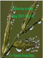 goc co dinh ben trong ngoai duong tron