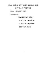 Đề tài 8   TRÌNH bày HIỆN TƯỢNG TRỄ xảy RA ở POLYME