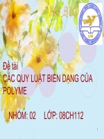 Đề tài 4    các QUY LUẬT BIẾN DẠNG của POLYME