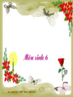 VAI TRO DV VOI DOI SONG CON NGUOI