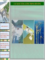 Bai 27:  Co nang - moi thao giang