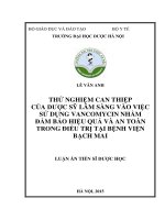 Thử nghiệm can thiệp của dược sỹ lâm sàng vào việc sử dụng Vancomycin nhằm đảm bảo hiệu quả và an toàn trong điều trị tại Bệnh viện Bạch Mai