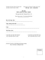 Đề thi và đáp án môn Kinh tế phát triển (4)