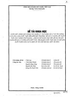 KHẢO SÁT ĐÁNH GIÁ CÔNG TÁC THU GOM SỬ LÍ RÁC THẢI ,TÁC ĐỘNG CỦA CHẤT THẢI RẮN ĐẾN MÔI TRƯỜNG