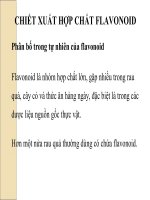 chiết xuất hợp chất flavonoid