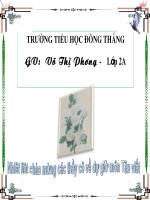 tap viet 2: chu hoa V