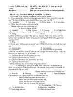 Đề KT văn 9 kỳ II