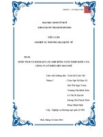 tiểu luận nghiệp vụ thương mại quốc tế đề tài phân tích và đánh giá các hợp đồng xuất nhập khẩu của công ty cổ phần dệt may huế