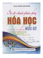 SƠ ĐỒ CHUỖI PHẢN ỨNG HÓA HỌC HỮU CƠ   NGUYỄN XUÂN TRƯỜNG