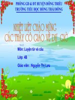 Luyện từ và câu: Câu kể Ai làm gì?