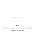 SKKN một số giải pháp đẩy nhanh tiến độ xây dựng trường học đạt chuẩn quốc gia trên địa bàn huyện Trần Văn Thời
