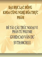 Cấu trúc ngoại vi phân tử polyme