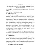 Những vấn đề lý luận cơ bản  về hiệu quả sử dụng vốn của doanh nghiệp