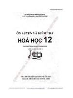 Ôn luyện và kiểm tra hóa học 12 (Chương trình chuẩn và nâng cao)   Trần Trung Ninh (Chủ biên)