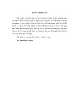 Giải pháp phát triển ngành nghề nông thôn tỉnh Đồng Nai