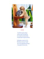 ĐẾN VỚI BÀI THƠ HAY