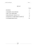 Tiểu luận môn vi sinh vật thực phẩm HƯ HỎNG CÁ DO VI SINH VẬT VÀ CÁCH XỬ LÝ