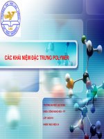 CÁC KHÁI NIỆM đặc TRƯNG POLYMER