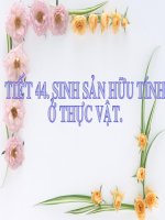 bài 42.sinh sản hữu tính ở thực vật