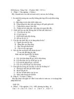 đề Kiểm tra Tiếng Việt 45 phút ( HKII - NV6 )