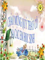 bai 39- tiet 49 - quyet va duong xi