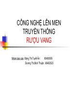 công nghệ lên men truyền thống   rượu vang
