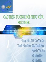 CÁC HIỆN TƯỢNG hồi PHỤC của POLYMER