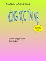 nong noc tim me