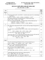 Đáp án HSG Hóa 11 năm 2010-2011