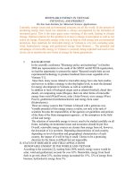 RENEWABLE ENERGY IN VIETNAM