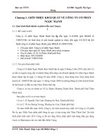 báo cáo thực tập  tại công ty cổ phần ngọc mạnh