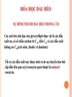 Hóa học và công nghệ các hợp chất hữu cơ thiên nhiên   phần IV   hóa học dầu béo