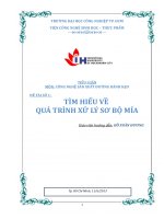 tìm hiểu về quá trình xử lý sơ bộ mía