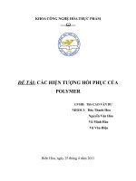 TIỂU LUẬN các HIỆN TƯỢNG hồi PHỤC của POLYMER