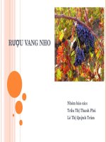 sản xuất rượu vang nho