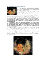 Biến dầu ăn đã qua sử dụng thành nhiên liệu sinh học