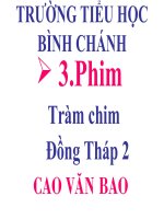Phim Tràm chim Đồng Tháp 2
