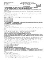 Đề KT năng lực GVTH-đề B