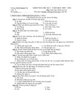 Đề KT học kỳ I Văn 6