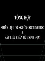 TỔNG hợp NHIÊN LIỆU có NGUỒN gốc SINH học  vật LIỆU PHÂN hủy SINH học