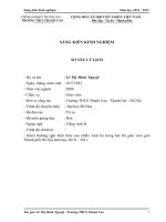 SKKN KINH NGHIỆM GIẢNG DẠY DẠNG BÀI TẬP KIM LOẠI TÁC DỤNG VỚI DUNG DỊCH MUỐI