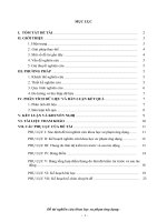 Đề tài nghiên cứu khoa học sư phạm ứng dụng Tạo Hứng thú cho học sinh trong việc tổ chức hoạt động ngoại khóa với việc dạy học môn Ngữ văn 8