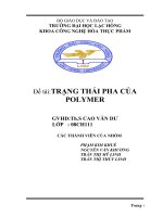 Đề tài   trạng thái pha của polymer