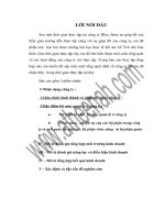 đồ án công nghệ thông tin Phân tích, thiết kế hệ thống thông tin liên quan đến hoạt động kinh doanh của công ty Blue'