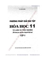 Phương Pháp Giải Bài Tập Hoá Học 11 Tập 2 Tự Luận Và Trắc Nghiệm Tác giả  Cao Cự Giác