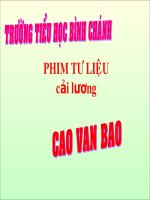 LT-C-Mở rộng vốn từ nghê thuật-Phi cải lương