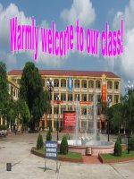 Anh 11 Unit 11 Reading