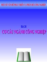 CƠ CẤU NGÀNH CÔNG NGHIỆP