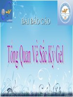 BÁO cáo TIỂU LUẬN   TỔNG QUAN về sắc ký GEL