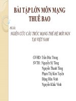 NGIÊN CỨU CẤU TRÚC MẠNG THẾ HỆ MỚI NGN TẠI VIỆT NAM